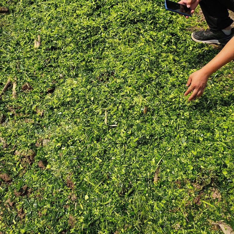 簡(jiǎn)單構(gòu)造效果圖